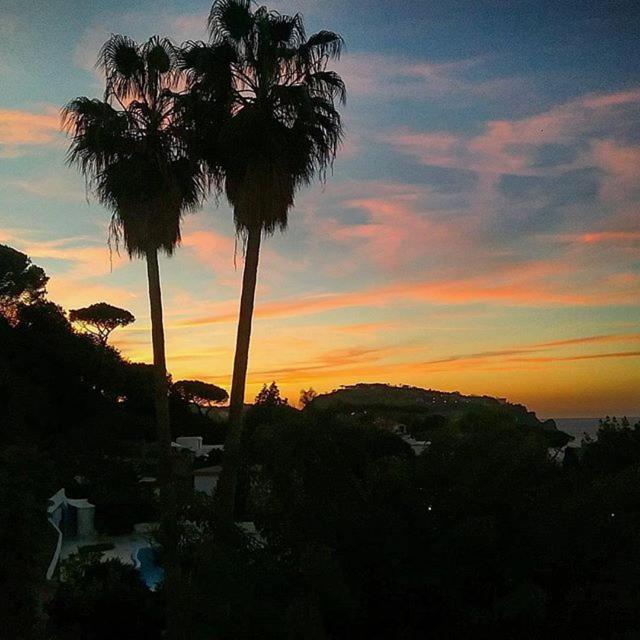 Hotel Parco Conte Casamicciola Terme Kültér fotó