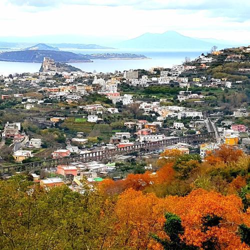 Hotel Parco Conte Casamicciola Terme Kültér fotó